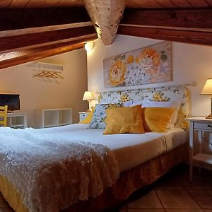 Standaard Suite met een Queen Size Bed